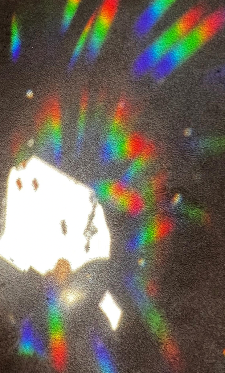 Flower Child Suncatcher Window Cling