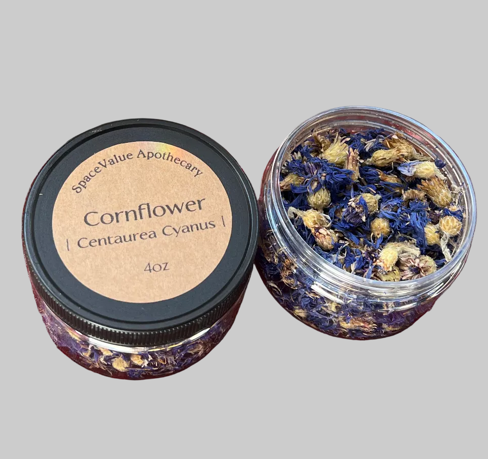 Cornflower ~ Herb