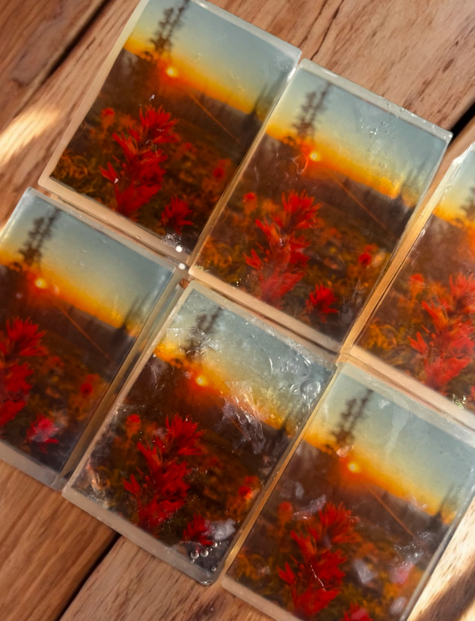 Indian Paintbrush Soap v2